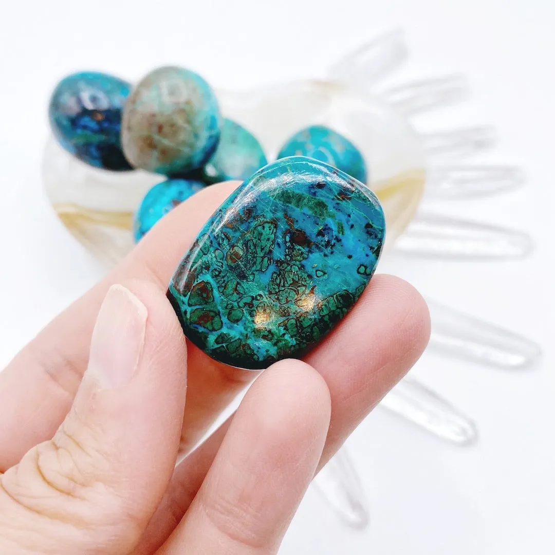 Chrysocolla Tumbled Stones