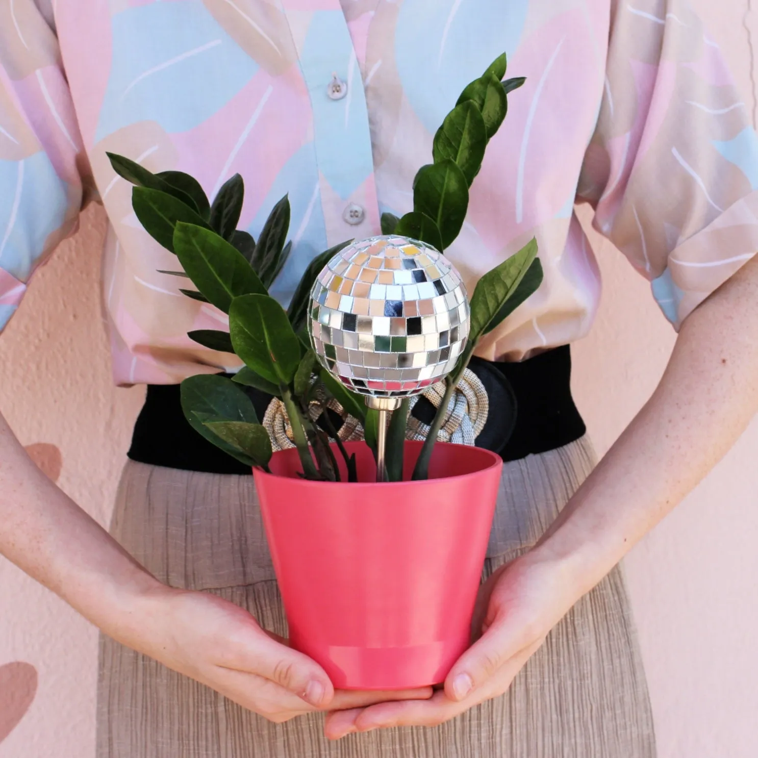 Disco Baby Plant Stake