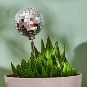 Disco Baby Plant Stake